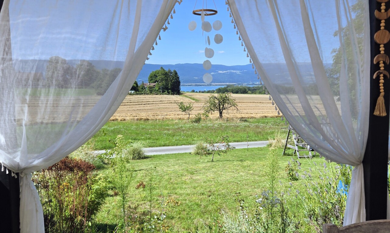 garten mit ländliche aussicht, rural view, day time, from property, und rasen