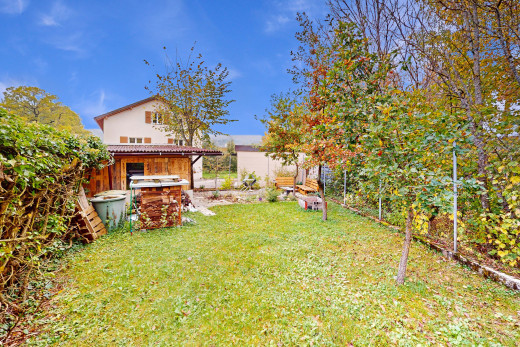 garten mit rasen und zaun