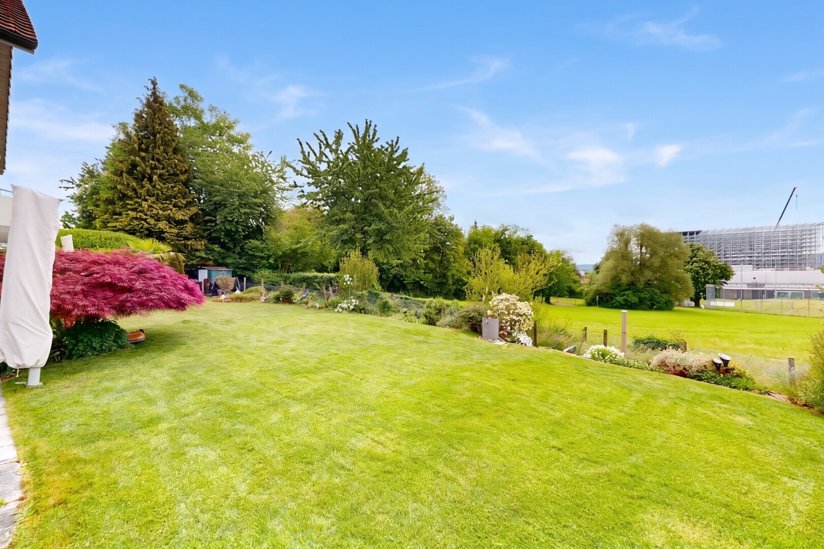 garten mit rasen und day time