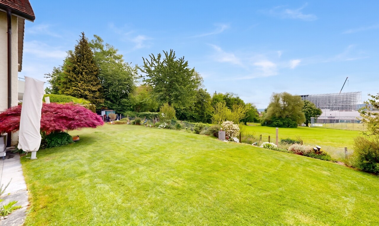 garten mit rasen und day time