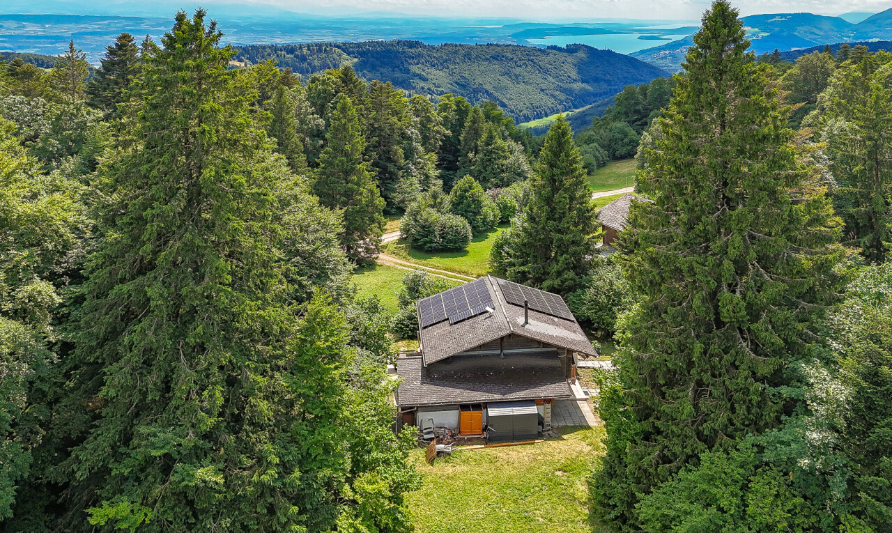 blick auf die berge mit property visible, day time, waldblick, und forest view