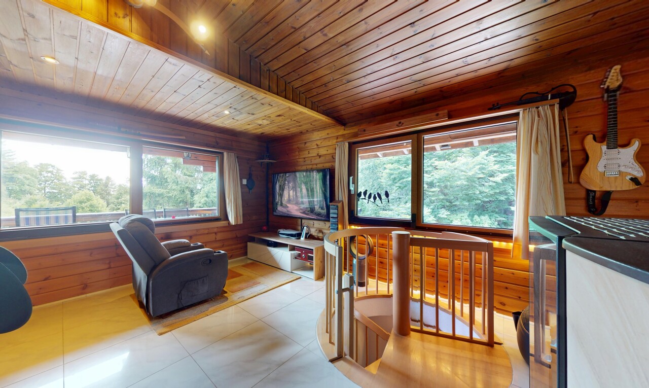 esszimmer mit wood ceiling, holzdecke, wood wall, holzwand, und natural light
