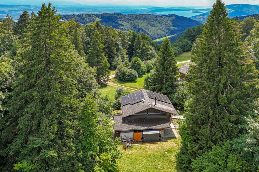 view of mountain background featuring a heavily wooded area