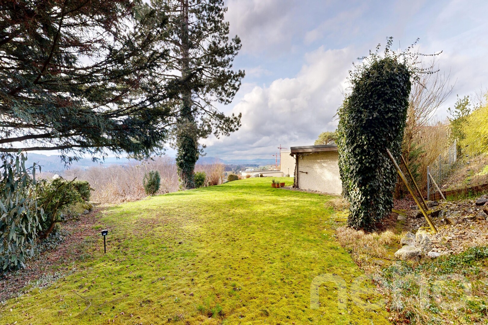 garden with a yard