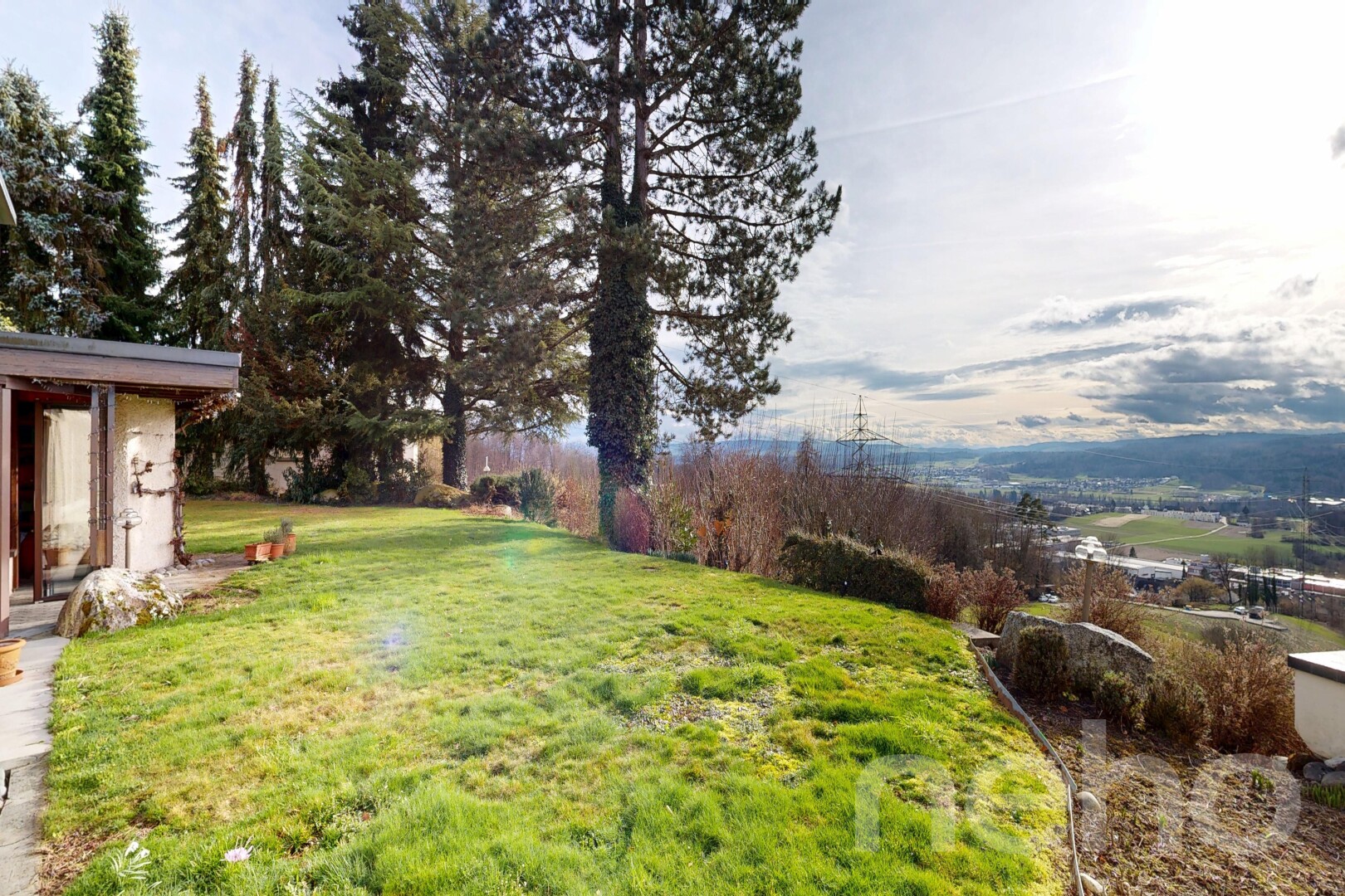garden with a lawn