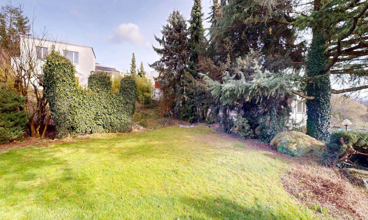 garden featuring a yard