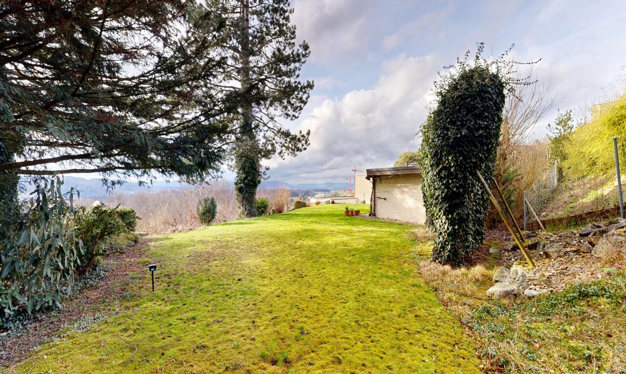 garden with a yard