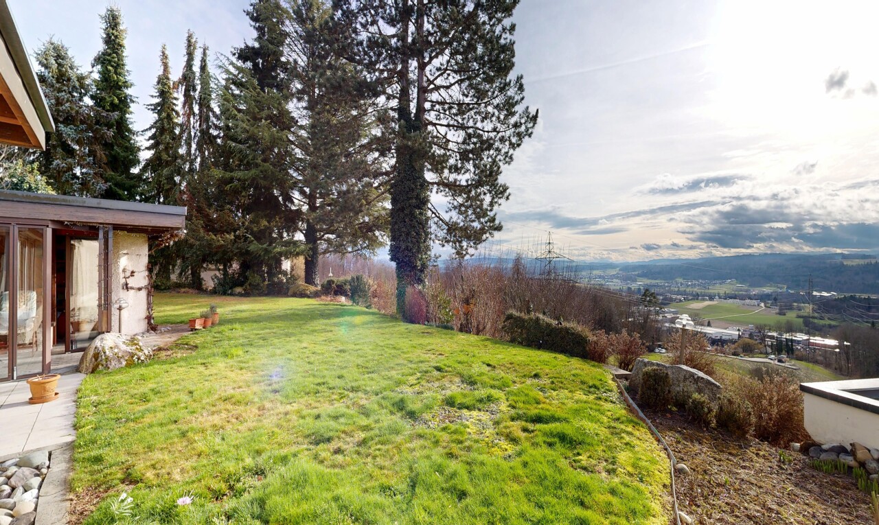 garden with a lawn