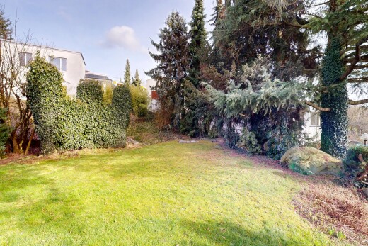 jardin avec pelouse et day time