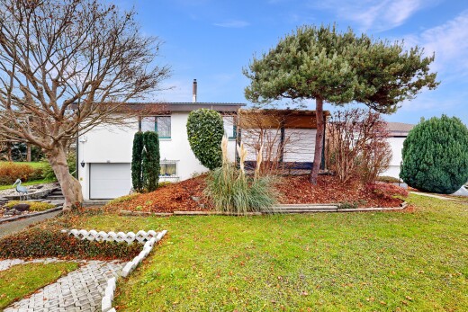 garten mit rasen und day time