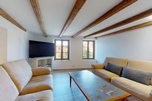 salon avec lumière naturelle, poutres apparentes, et télévision