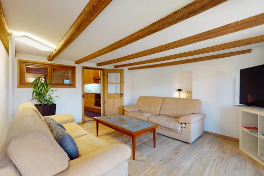 salon avec parquet, poutres apparentes, et télévision