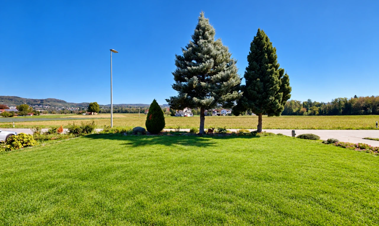Kaufen Sie Haus in Aargau Kleindöttingen