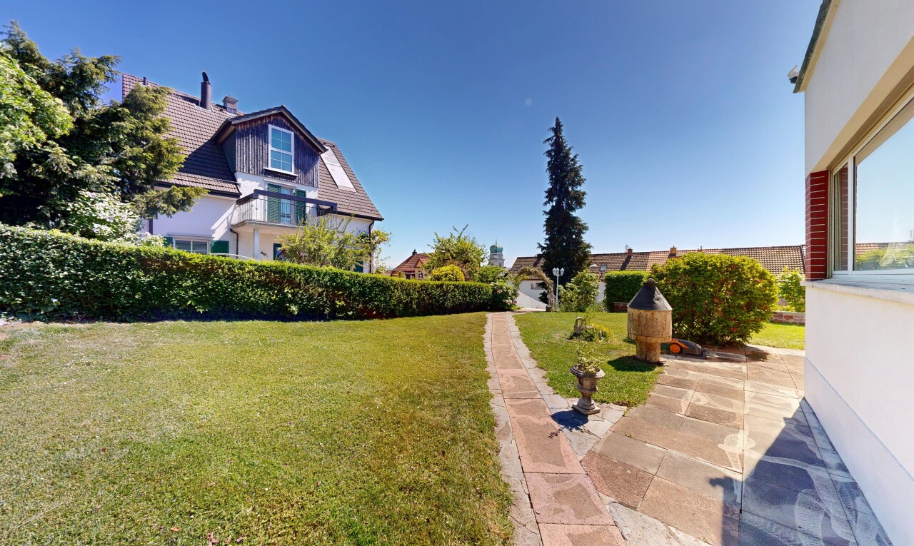 garden with a lawn