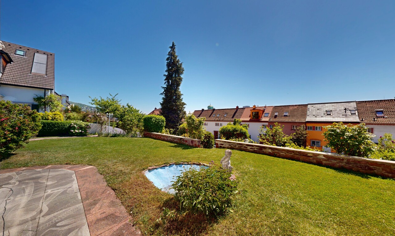 garden with a yard