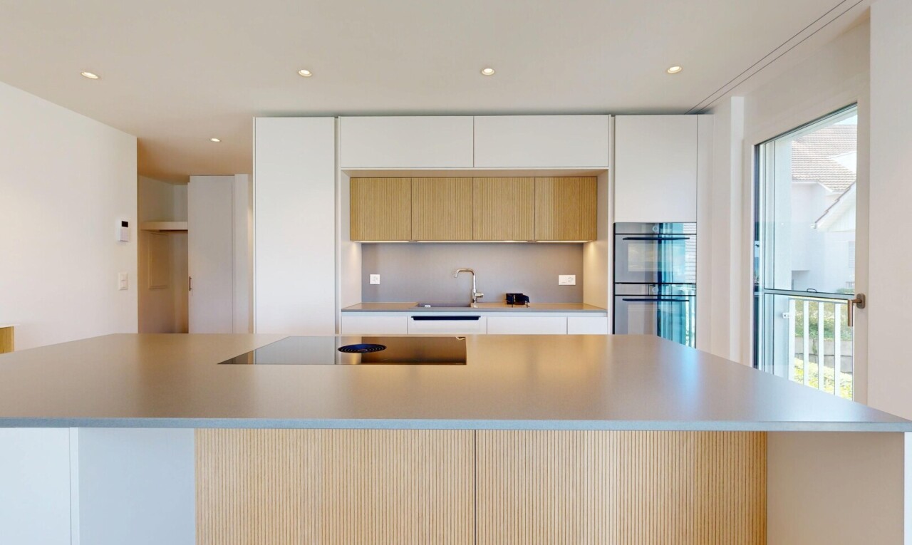 küche mit one wall kitchen, wandküche, flat panel cabinets, schränke mit flachen paneelen, und natürliches licht