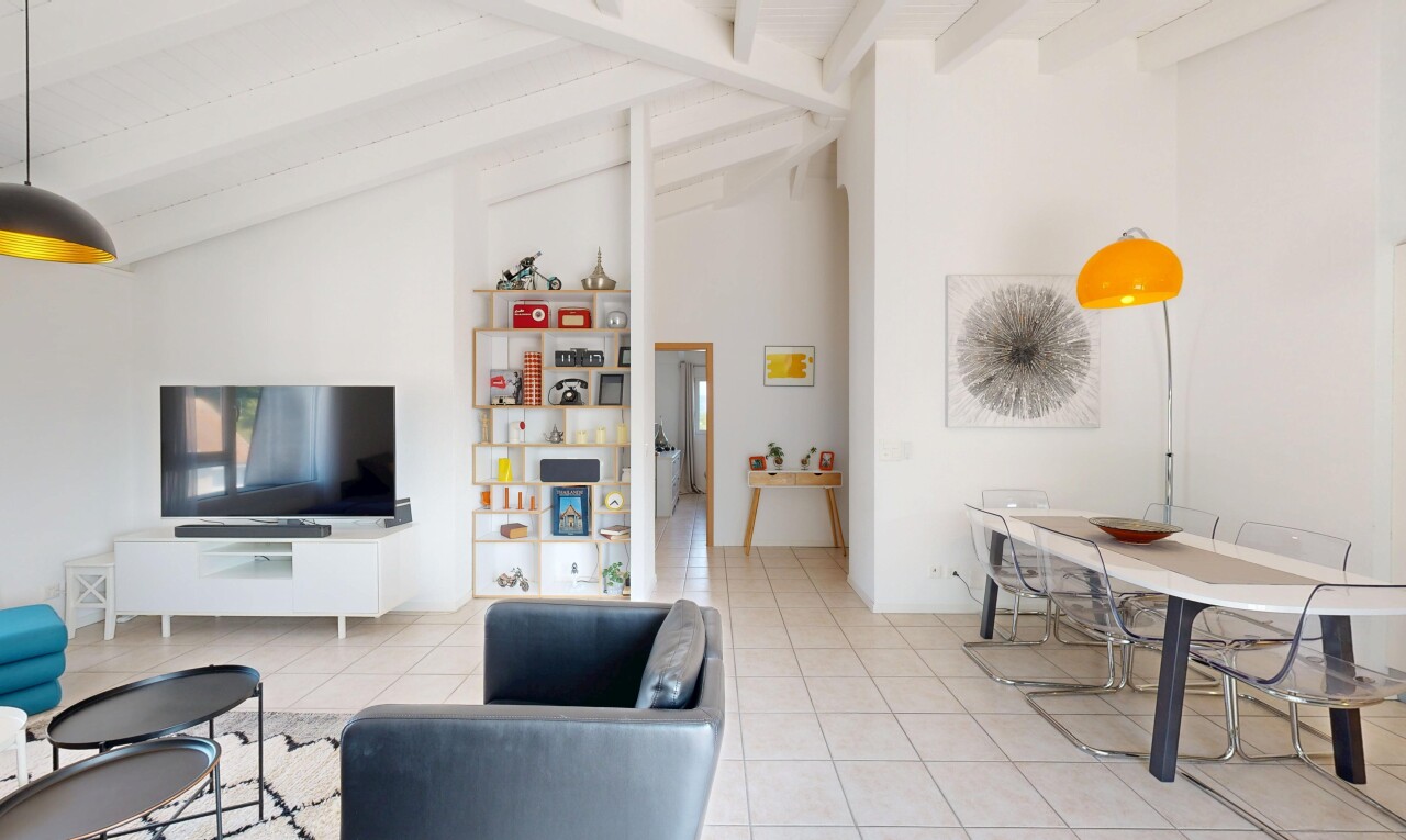 salon / salle à manger avec high ceiling, plafond haut, vaulted ceiling, plafond voûté, et télévision