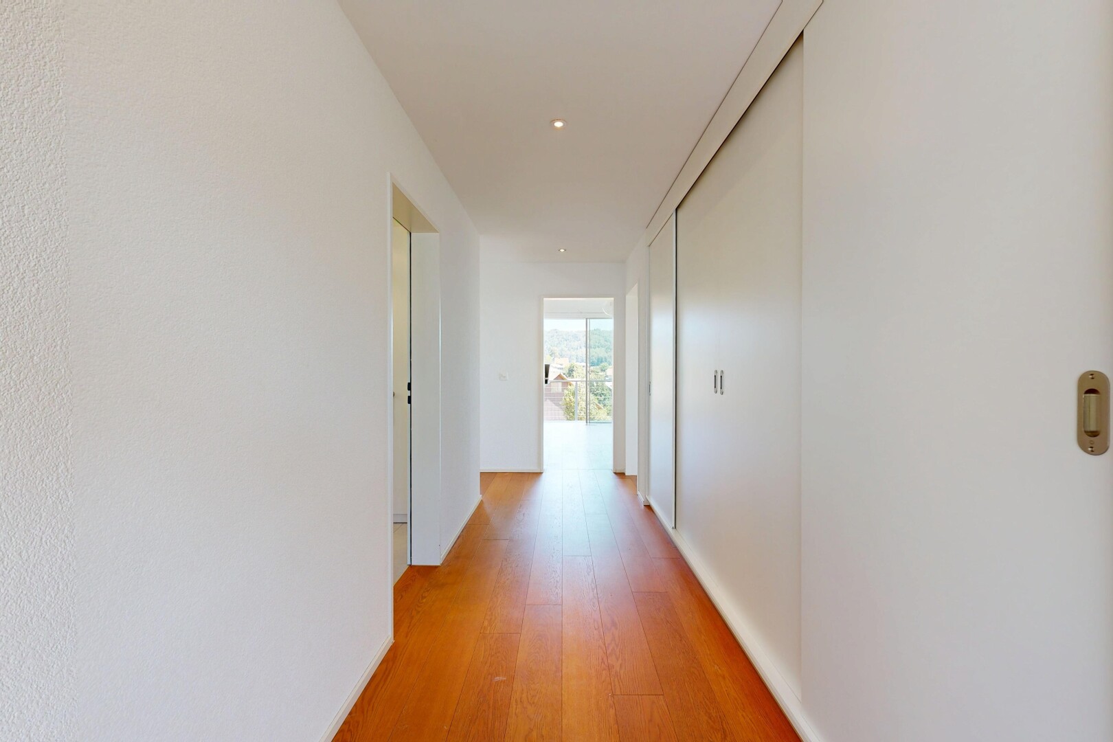 halle / korridor mit inside property, wood finish floor, holzfußboden, natural light, und natürliches licht