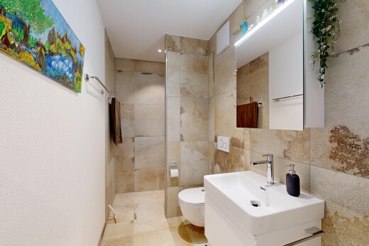 bad mit spiegel, waschbecken, toilette, fliesenwand, und dusche