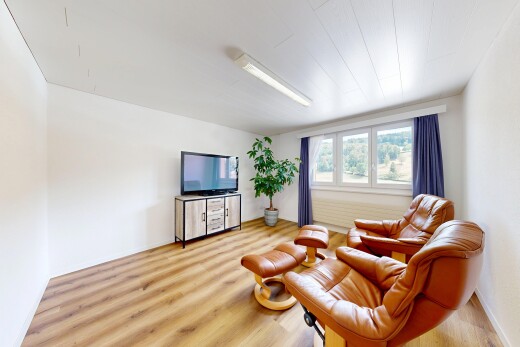 salon avec wood finish floor, sol en finition bois, télévision, drywall, et cloison sèche