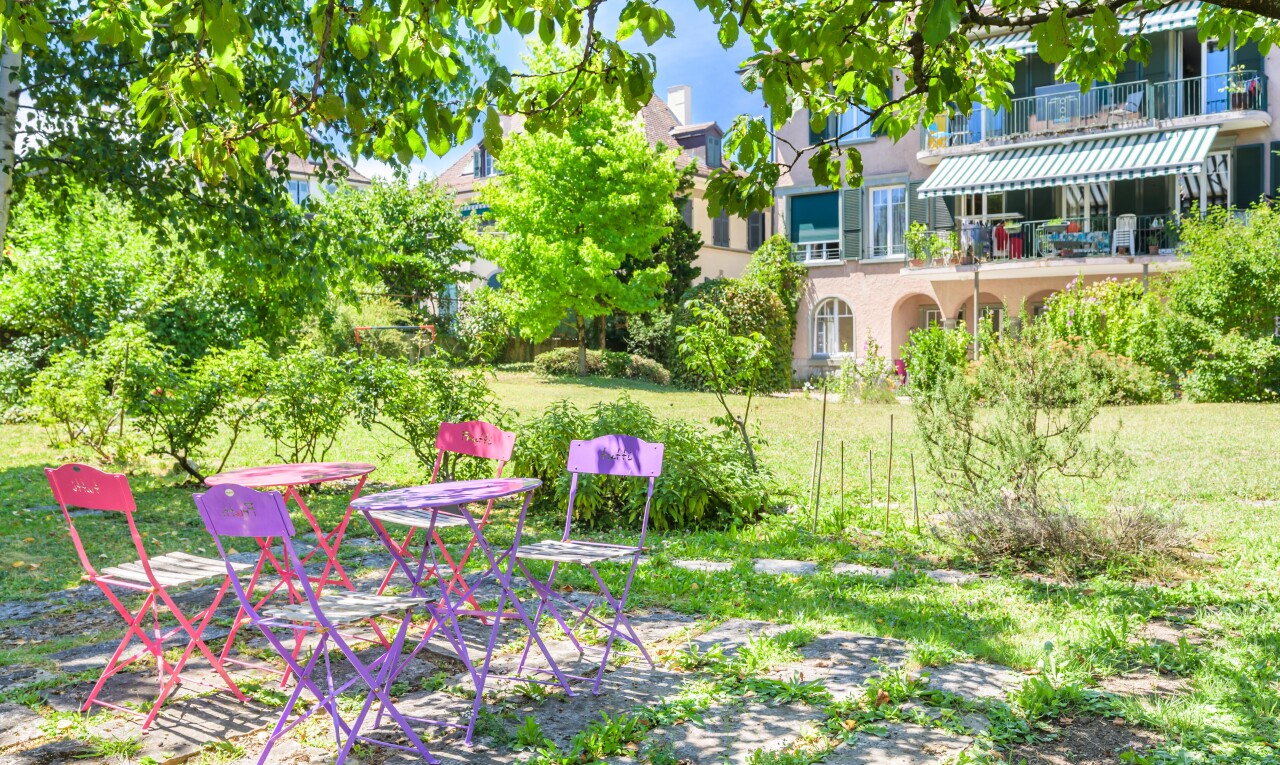 jardin avec day time