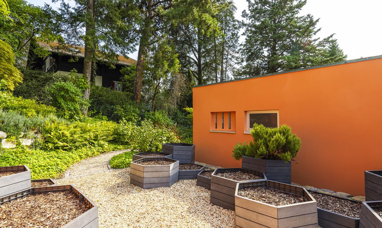 jardin avec jardin et property visible