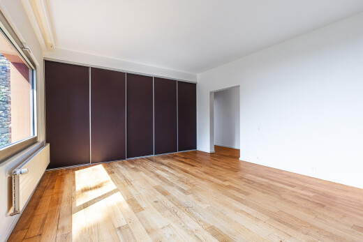 pièce vide avec lumière naturelle, natural light, sol en finition bois, wood finish floor, et cloison sèche