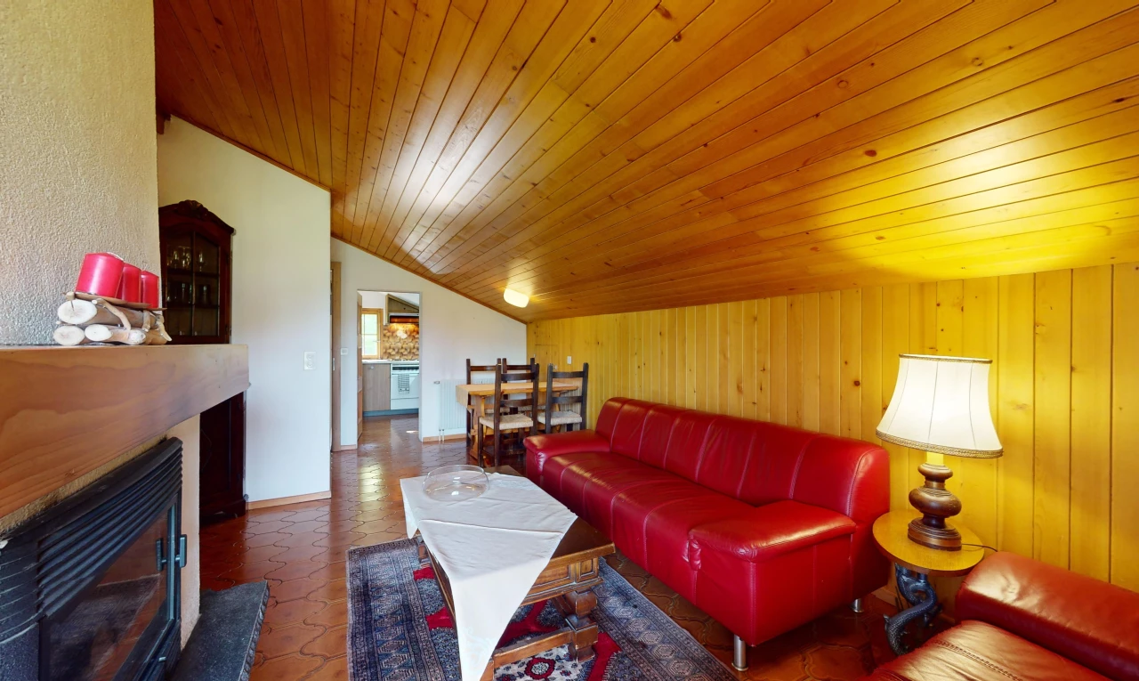 salon / salle à manger avec plafond en bois, wood ceiling, cheminée, plafond voûté, et vaulted ceiling