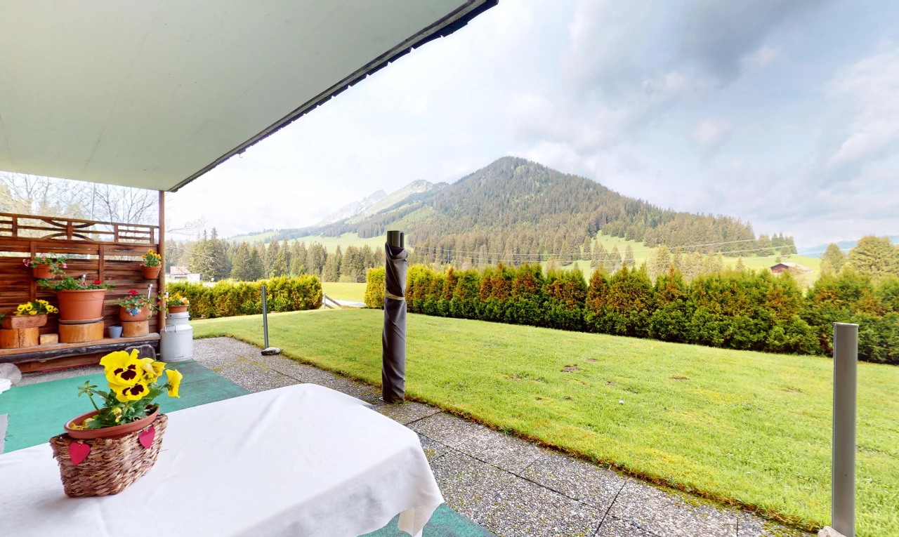 terrasse avec vue sur la montagne, mountain view, from property, pelouse, et terrasse