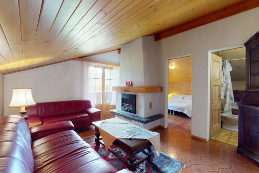 salon avec lumière naturelle, natural light, inside property, plafond en bois, et wood ceiling