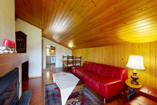 salon / salle à manger avec plafond en bois, wood ceiling, cheminée, plafond voûté, et vaulted ceiling