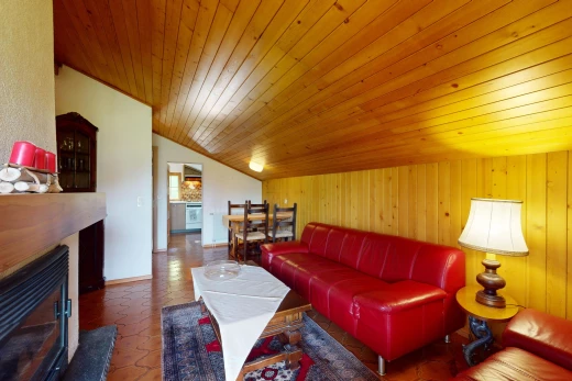 salon / salle à manger avec plafond en bois, wood ceiling, cheminée, plafond voûté, et vaulted ceiling