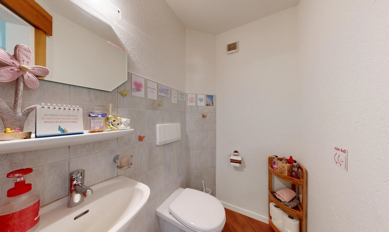 bad mit waschbecken, spiegel, gäste-wc, inside property, und holzfußboden