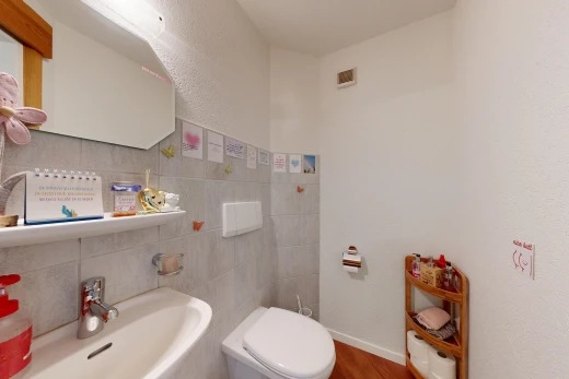 bad mit waschbecken, spiegel, gäste-wc, inside property, und holzfußboden