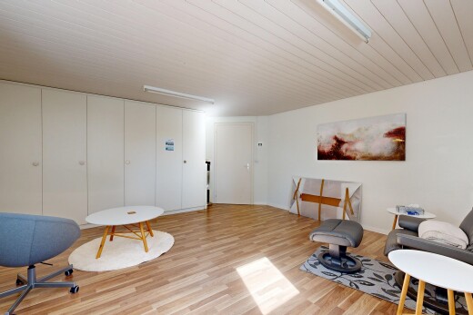 living area with light wood-style floors and a closet