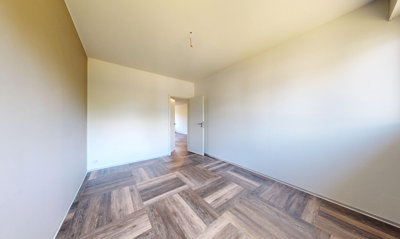 pièce vide avec sol en finition bois, wood finish floor, cloison sèche, drywall, et parquet floor