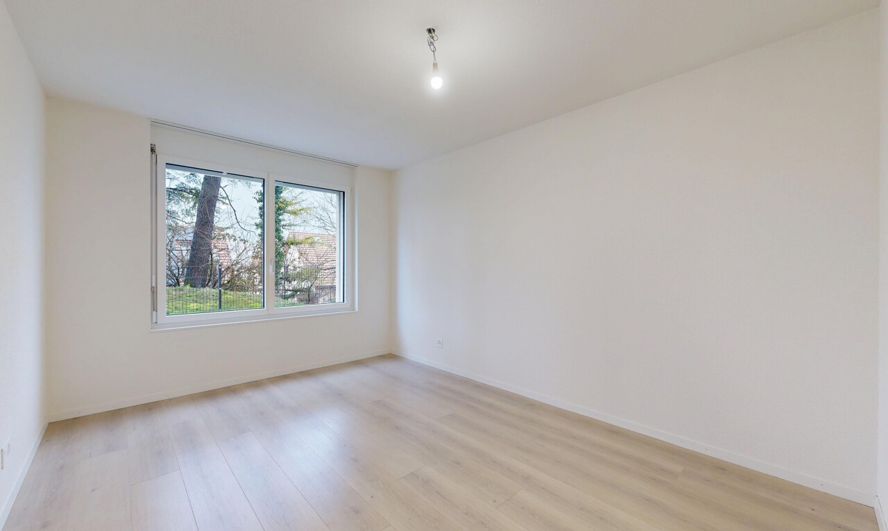 pièce vide avec drywall, cloison sèche, wood finish floor, sol en finition bois, et natural light