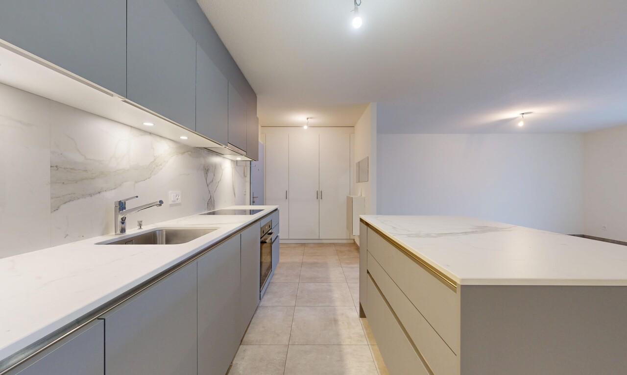 cuisine avec armoires à panneau plat, flat panel cabinets, armoires grises, gray cabinets, et light countertops