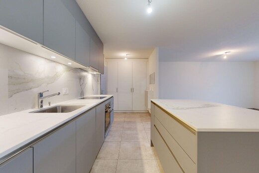 cuisine avec armoires à panneau plat, flat panel cabinets, armoires grises, gray cabinets, et light countertops