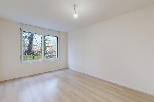 leerer raum mit drywall, gipskartonwand, wood finish floor, holzfußboden, und natural light