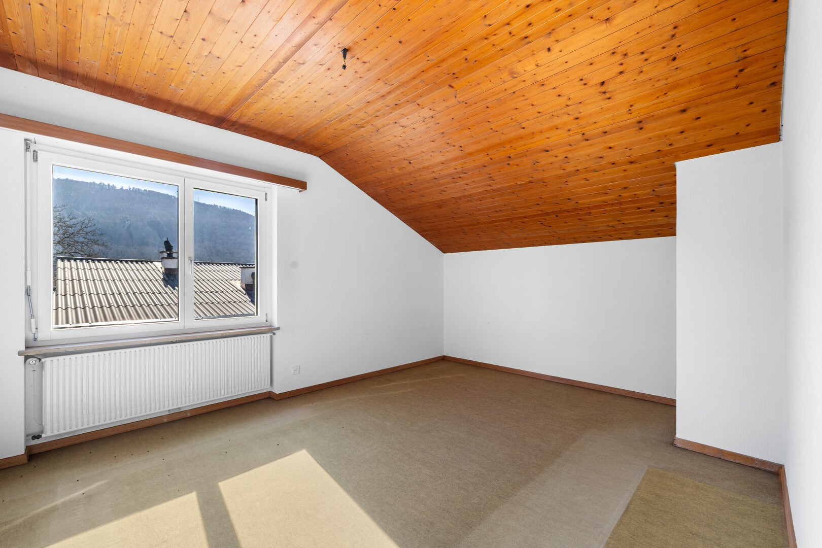 pièce vide avec inside property, radiateur, natural light, lumière naturelle, et low ceiling