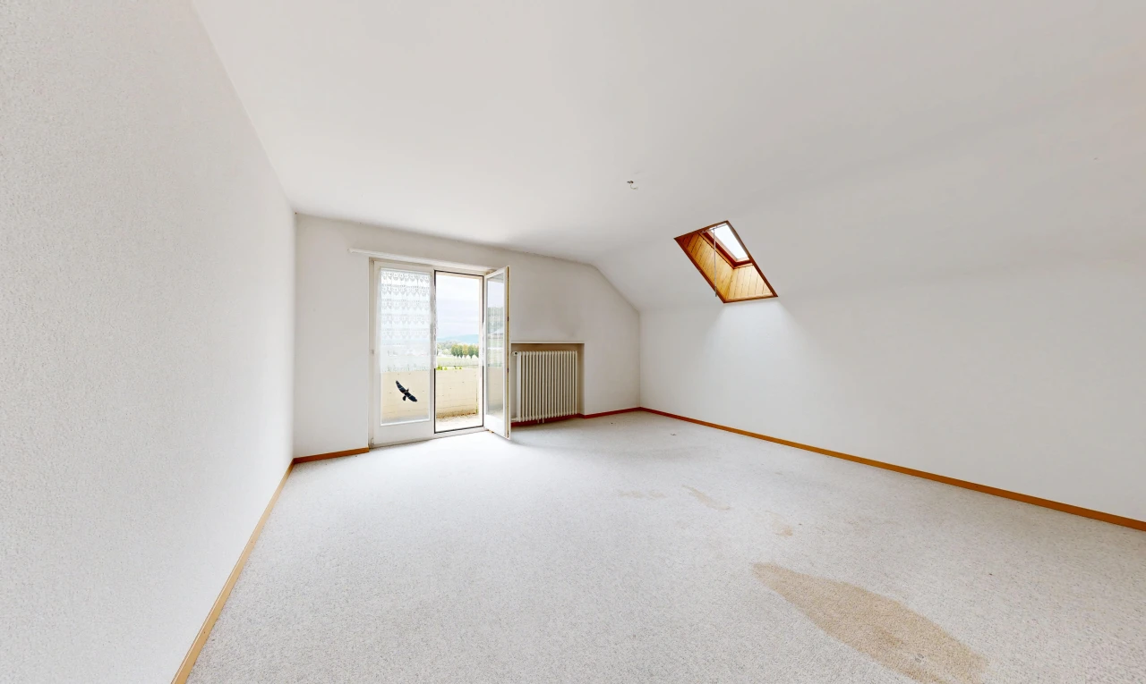 empty room featuring radiator heating unit, light carpet, and lofted ceiling with skylight