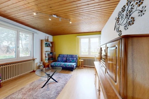 living room with rail lighting, radiator heating unit, wooden ceiling, radiator, and healthy amount of natural light