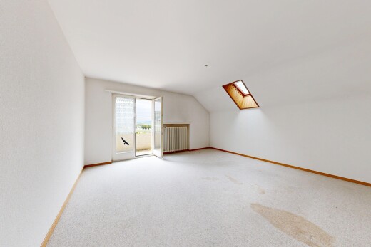 empty room featuring radiator heating unit, light carpet, and lofted ceiling with skylight