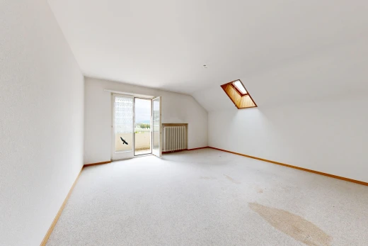empty room featuring radiator heating unit, light carpet, and lofted ceiling with skylight