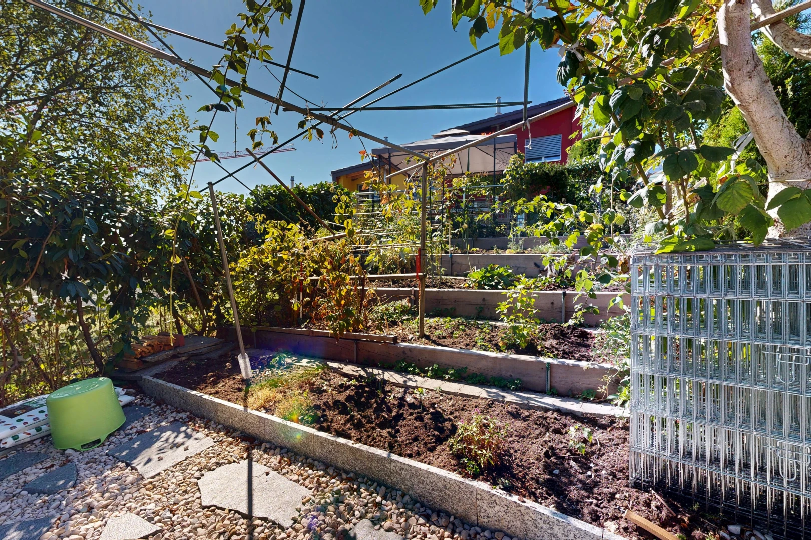jardin avec jardin et day time