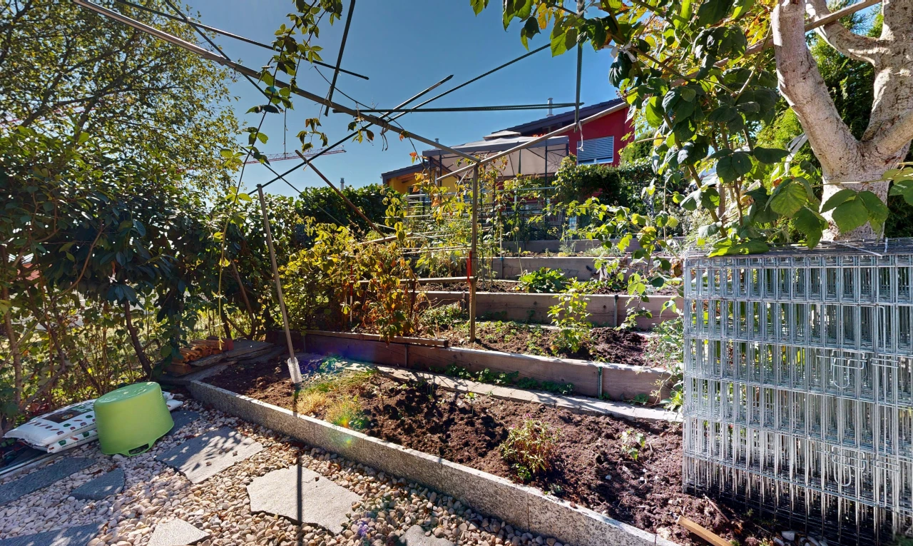 jardin avec jardin et day time