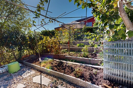 jardin avec jardin et day time