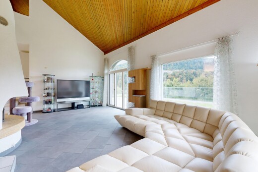 salon avec plafond haut, high ceiling, plafond voûté, vaulted ceiling, et télévision