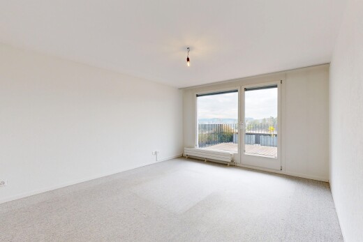 pièce vide avec moquette, carpet, inside property, cloison sèche, et drywall